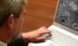 Caliber ID Online Training